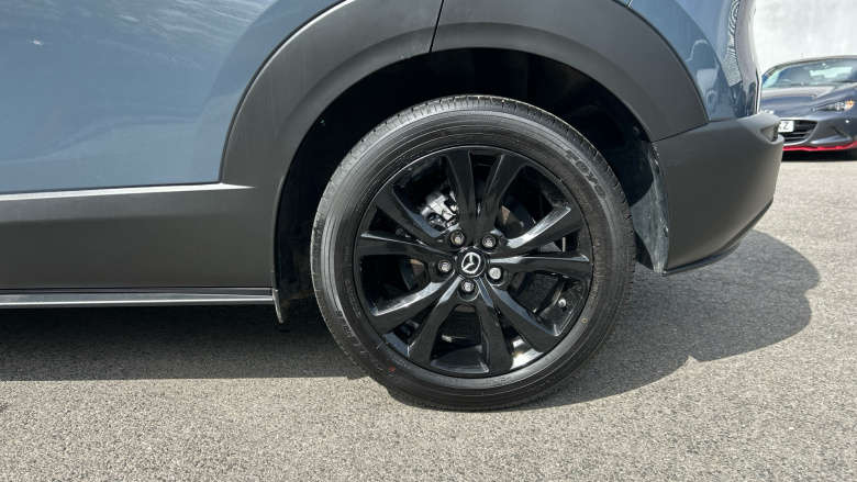 Mazda CX-30 2.0 e-Skyactiv G MHEV Homura 5dr Auto Petrol Hatchback